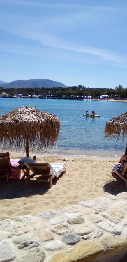 Blue Paradise Home Μαράθι Εξωτερικό φωτογραφία