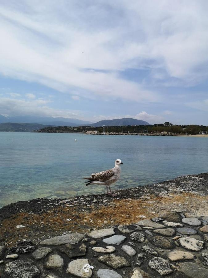 Blue Paradise Home Μαράθι Εξωτερικό φωτογραφία